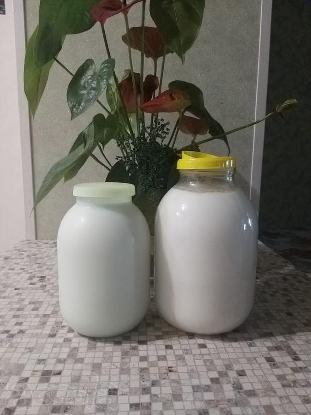 Продажа козьего молока